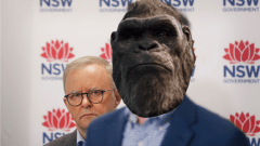 The Aus Gov Accidentally Leaked The Plot To The New King Kong Movie & Twitter Went Ape Shit