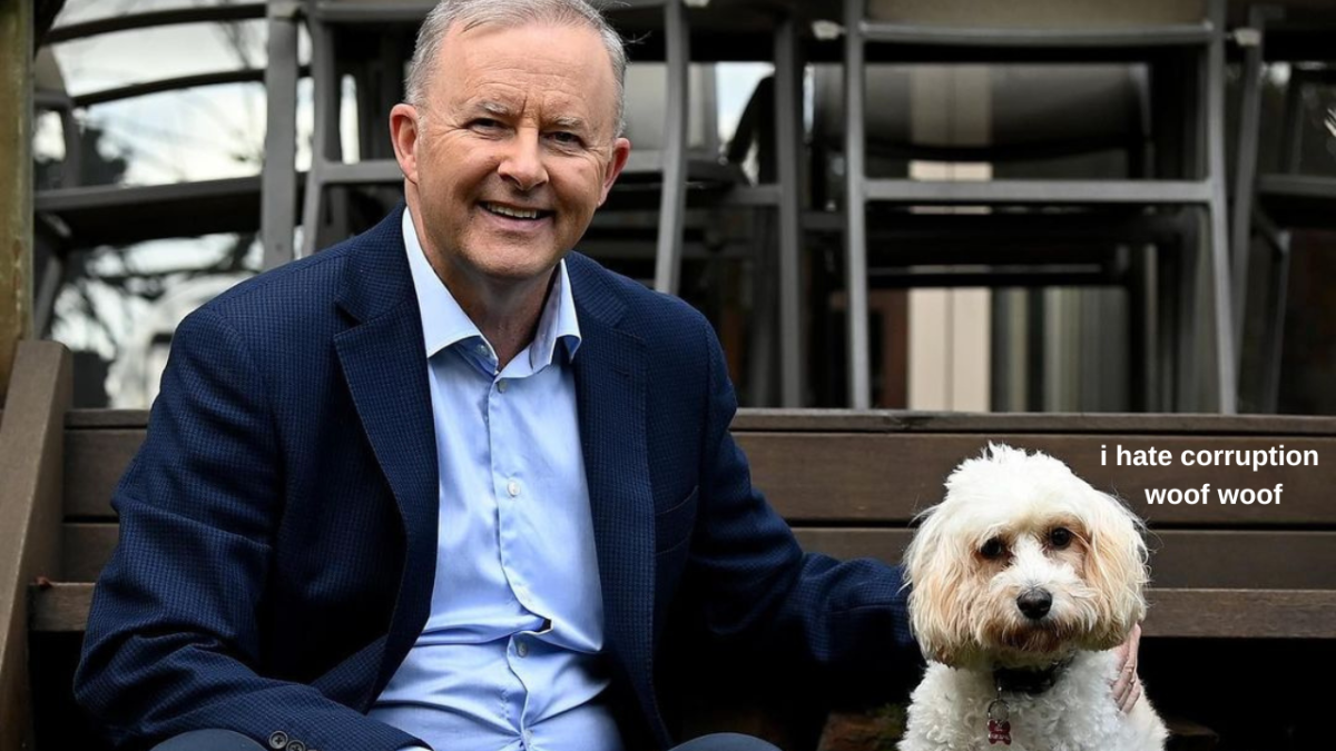 Australian Prime Minister Anthony Albanese sitting on stairs patting his dog Toto