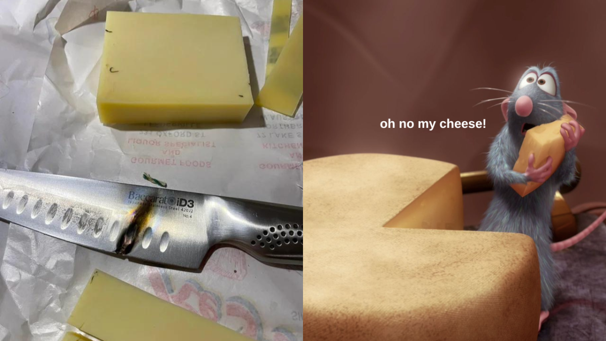 Photo of cheese and burnt knife and Remy from Ratatouille holding a piece of cheese and saying "oh no my cheese!"