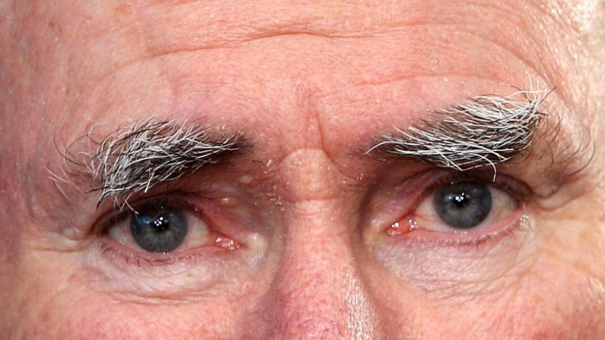prime ministers eyebrows ranked
