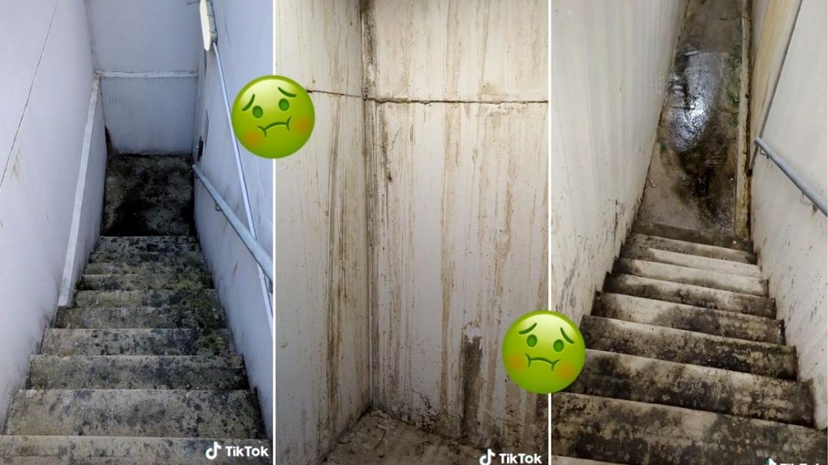 TikToker exposes Sydney Real Estate by making a video about "horror" apartment basement covered in black mould.