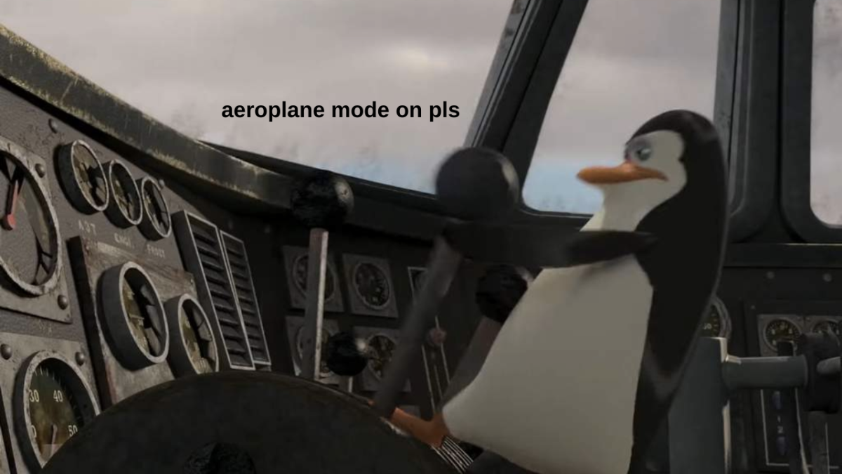 Penguin in Madagascar 2: Escape to Africa flying a plane saying "aeroplane mode on pls"