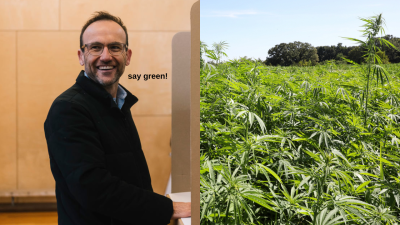 The Aus Greens Could Legalise The Thing We’ve All Been Doing This Whole Time By 2023