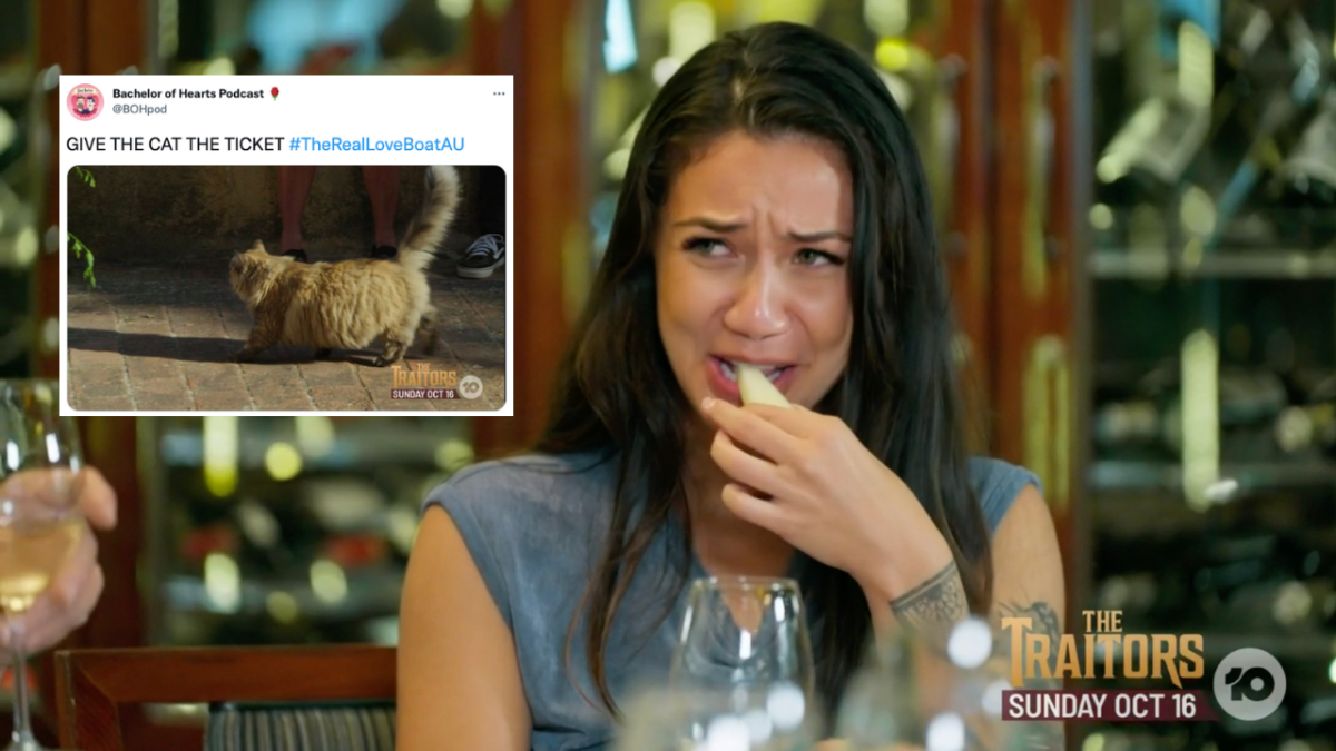 Moana on The Real Love Boat Australia eating cheese and looking disgusted and a Tweet that says "GIVE THE CAT THE TICKET" with a photo of a fluffy ginger cat