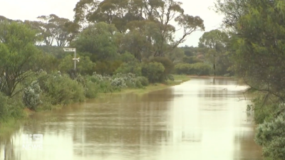 29YO Man Dies After Being Struck By Lightning In SA As Wild Storms & Flash Floods Hit The State
