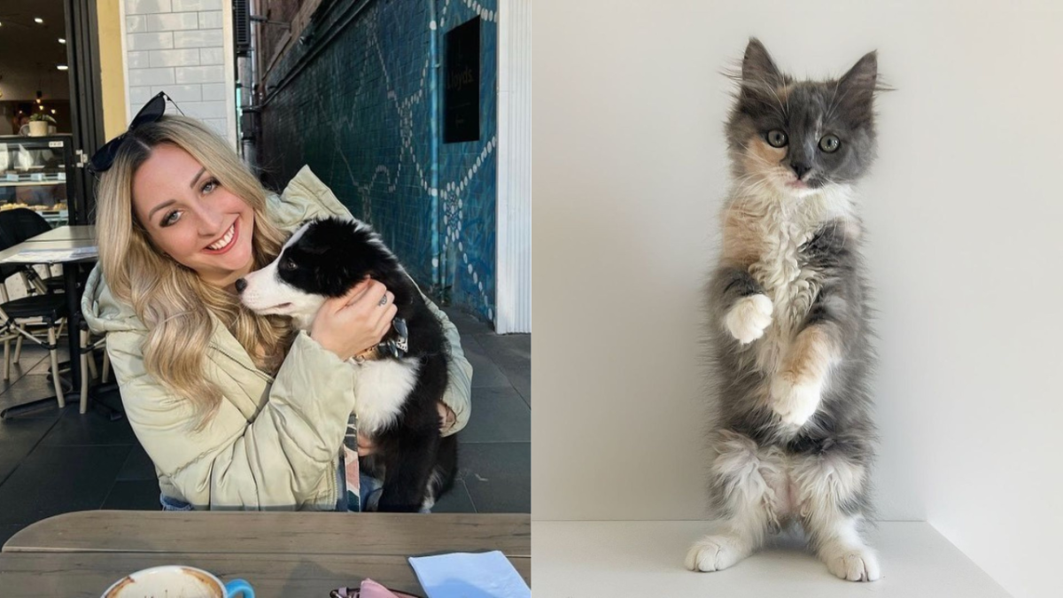 the kitten sanctuary's amy field holding a black and white puppy and fluffy calico kitten standing on its hind legs