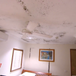 A mouldy and broken ceiling at Manly Boutique Hotel