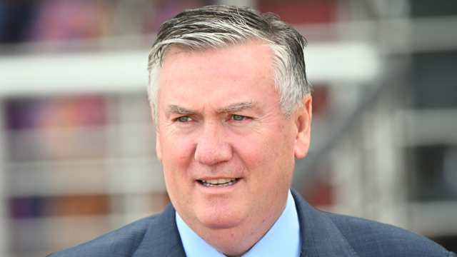 Australian TV host Eddie McGuire at Melbourne Cup 2022 wearing a blue shirt and grey suit