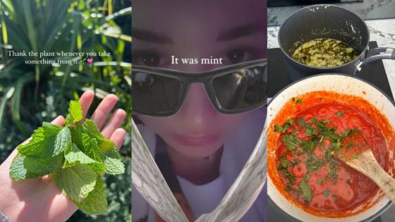 Nonna, Hold The Gates Of Hell Open, Influencer Anna Paul Mistook Mint For Basil In Her Gnocchi