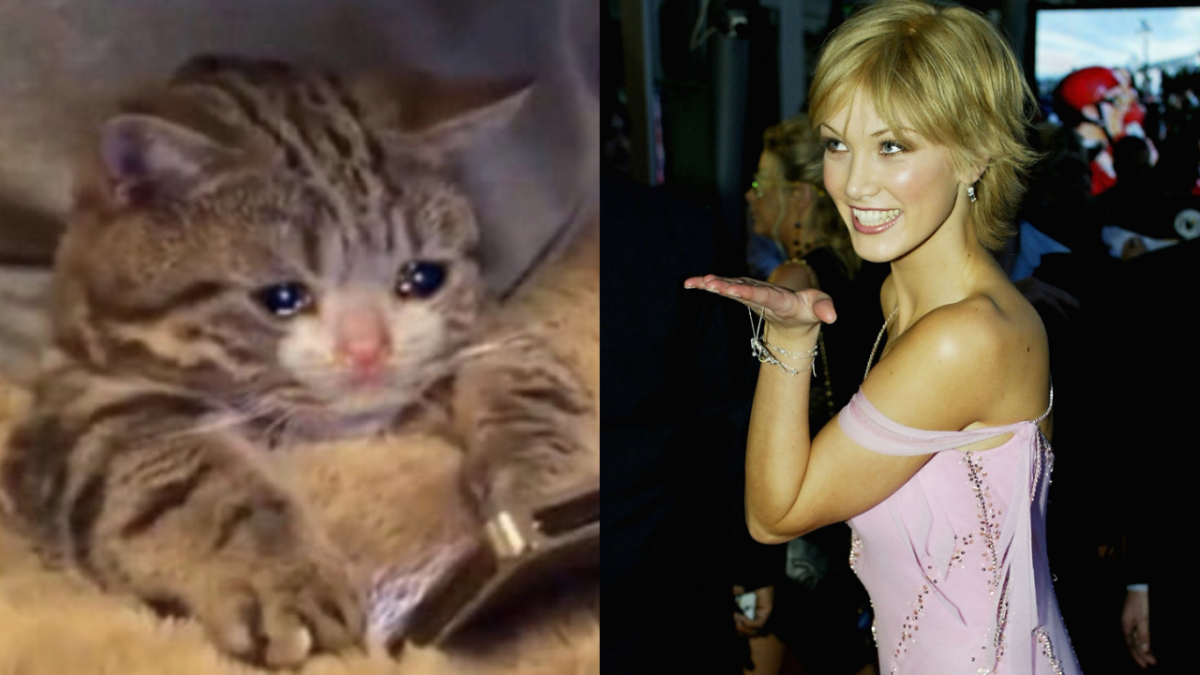 cat crying while holding phone and delta goodrem in pink dress and short blonde hair blowing kiss to photographer as she poses for paparazzi