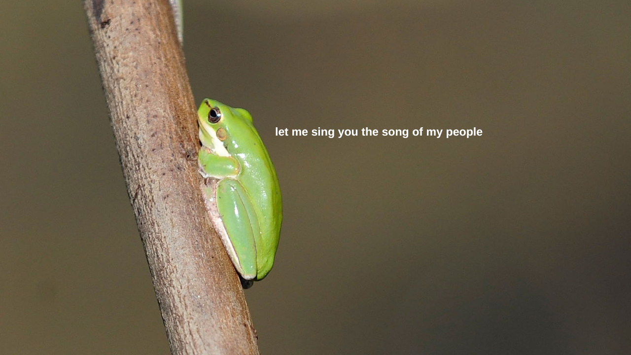 An Album Made Entirely Of Aussie Frog Sounds Wants To Hop On The Charts & Yr Summer Playlists