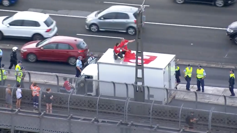 A Protestor Who Blocked The Harbour Bridge For 25 Mins Has Been Sentenced To 15 Months In Jail