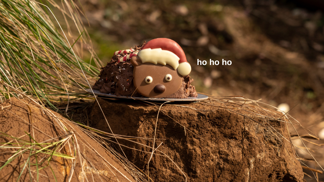 Make Room On The Xmas Menu ‘Cos Woolies Has Released Adorable Festive Treat Wally The Wombat