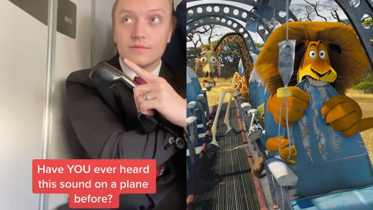 Screenshot from TikTok of flight attendant ringing bell saying "Have YOU heard this sound on a plane before?" and Alex and Marty from Madagascar 2 during plane crash scene