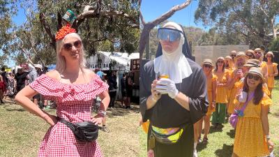 Please Enjoy The Most Ridiculously Creative Costumes From The 30th Meredith Music Festival