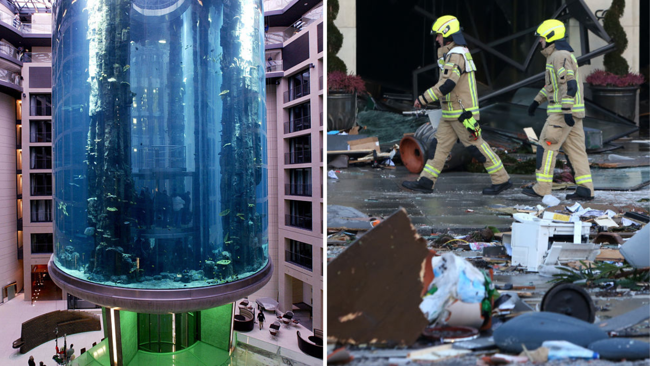 An Aquarium In Berlin Burst Leaving 2 People Injured & 1,500 Fish Dead