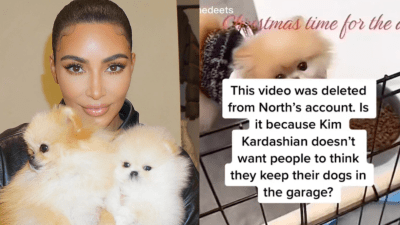 Kim K Is Copping Backlash After A Swiftly-Deleted TikTok Exposed Her Dogs’ Living Conditions