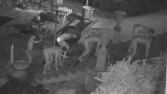 NSW Police Are Looking For 7 Naked Dudes Who Broke Into A Byron Bay Mansion To Twerk And Swim