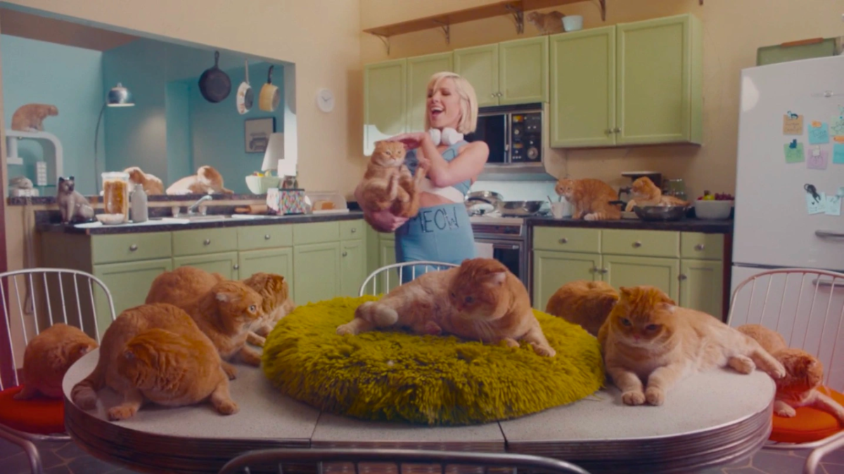 Screen grab from Carly Rae Jepsen's music video for Now That I Found You in relation to NSW Labor proposing pet-friendly rental law reform