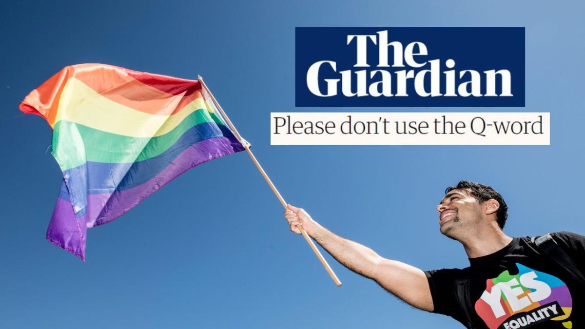the guardian q word queer