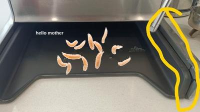 PSA: Clean Yr Coffee Machine’s Drip Tray ‘Cos This Syd Woman Found Actual Fkn Maggots In Hers
