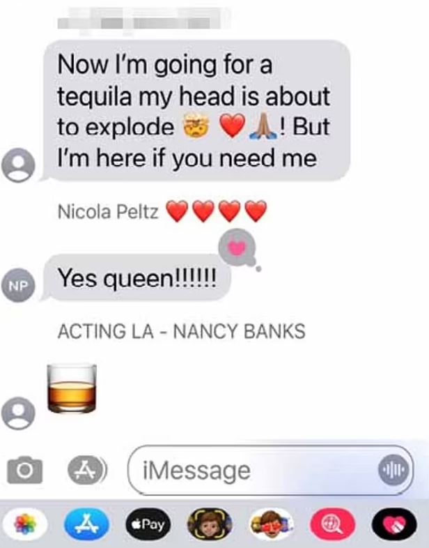 Nicola Peltz texts wedding planner