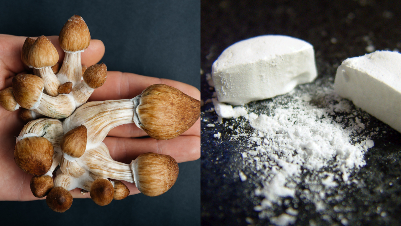 Huge News: MDMA & Magic Mushrooms Will Soon Be Legal To Treat PTSD & Depression In Australia