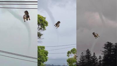 Tornado Footage From NSW Has Appeared Just A Day After A Heatwave & What’s Next? Acid Rain???