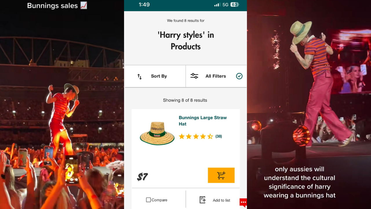 Well Played: If You Search ‘Harry Styles’ On Bunnings’ Website, Its Straw Hat Now Comes Up