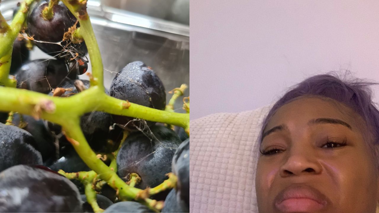 FARK NO: A Qld Woman Found A Deadly Spider In Grapes She Bought From Woolies