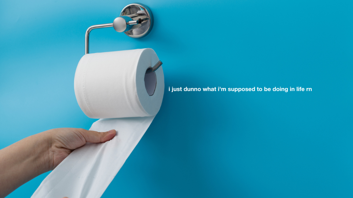 an expert has weighed in on the toilet paper debate of wether you should hang it over or under