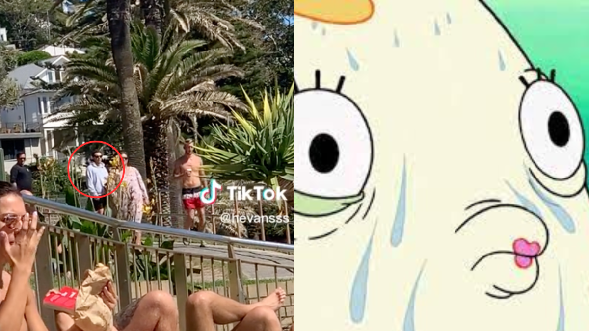 TikTok from user @hevansss showing Harry Styles at Bronte Beach wearing a hoodie and Mrs. Puff from SpongeBob SquarePants sweating