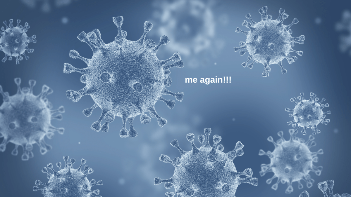 3D illustration of coronavirus cells in an electron microscope with white text which reads "me again!!!"