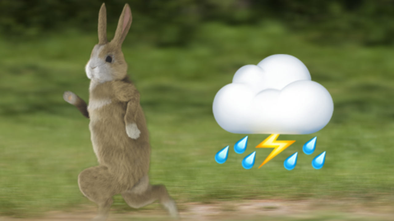 Stock photo of bunny rabbit running like a human and emoji of thunderstorm cloud and rain