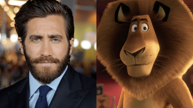 Photo of Jake Gyllenhaal wearing suit and Alex the lion from Madagascar to illustrate "forbidden" celebrity lookalikes