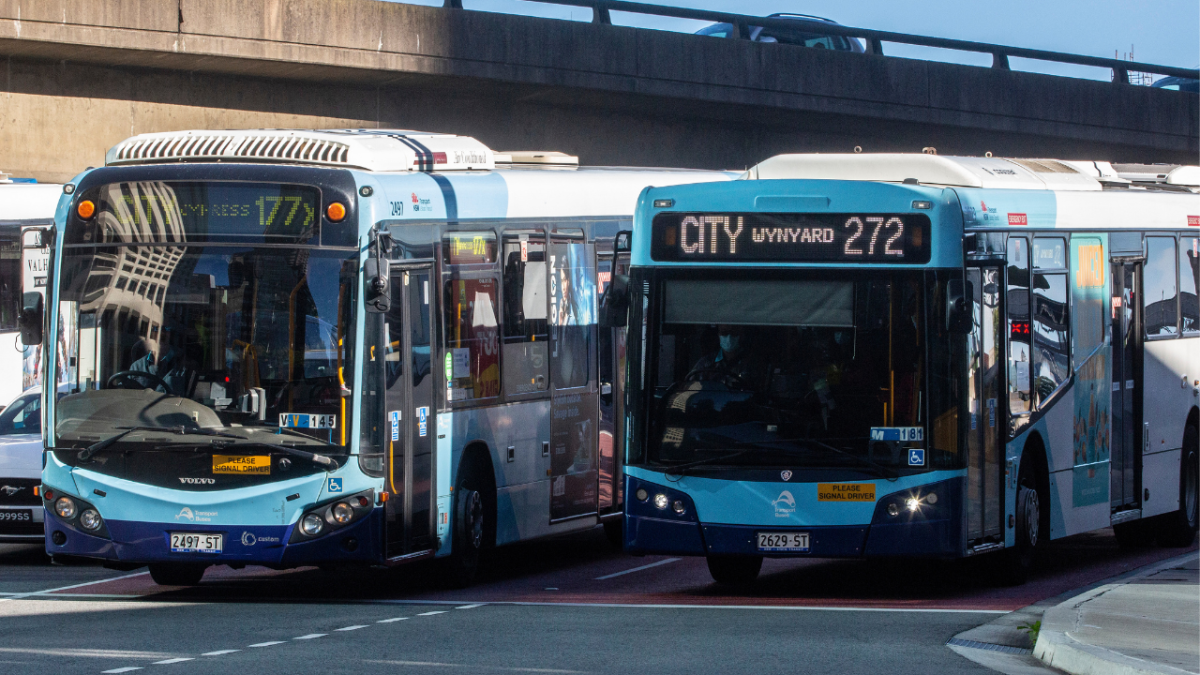 Buses arriving at the Wynyard Bus Terminal in Sydney