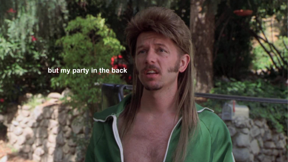 David Spade as Joe Dirt wearing green tracksuit top and big mullet. White text on screen reads: but my party in the back