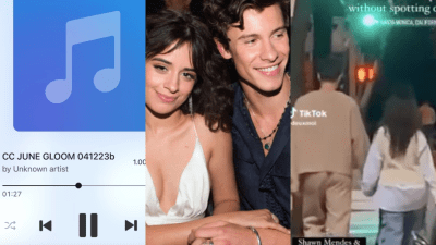 Camila Cabello Has Already Written A Song About Seeing Shawn At Coachella & She Shared It On IG