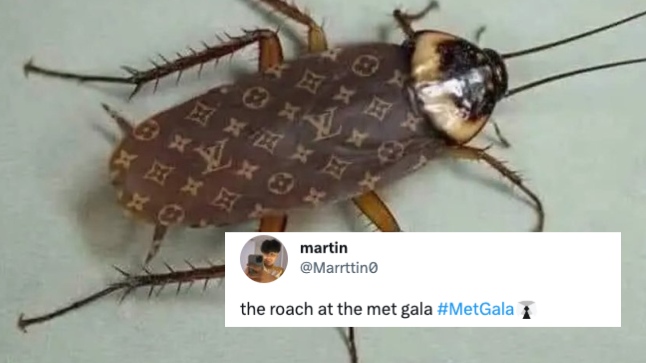 All The Best Memes and Reactions To Met Gala 2023
