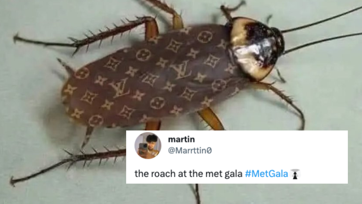 Justice for the Met Gala roach.