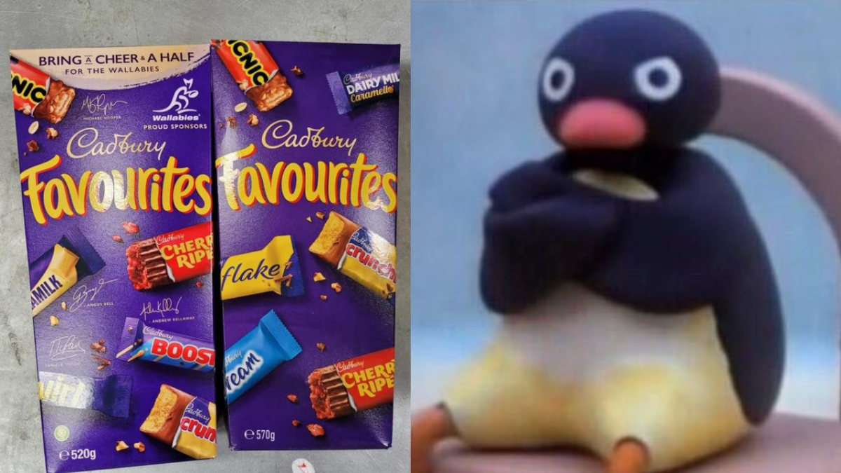 Cadbury Favourites Divided Chocolate Fans