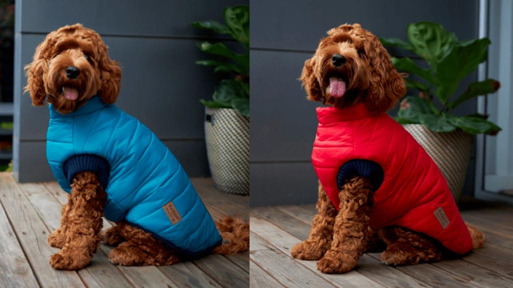 Dog coats