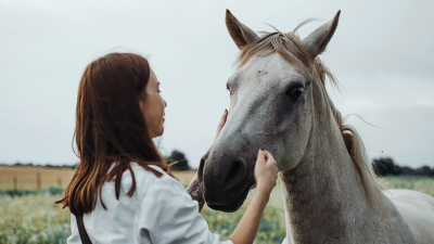 In Defence Of The Horse Girl: Why Do People Hate The Greatest Girls On Earth?