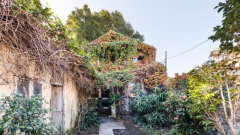 An Overgrown, Mould-Covered Piece Of Shit Has Just Hit The Sydney Housing Market For $2.5 Mil