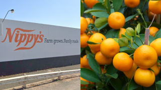 Juice Company Nippy’s Fined $120k After An 18 Y.O. Worker Was Scalped In A Workplace Incident