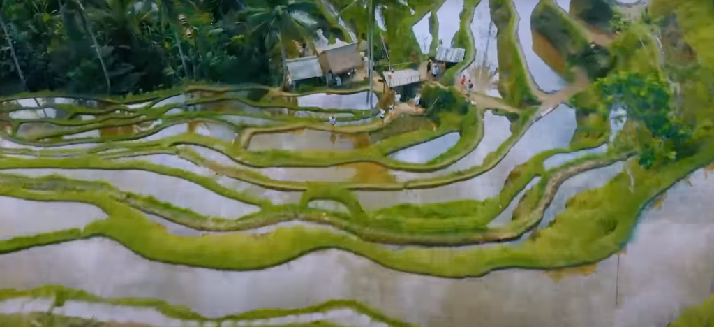rice fields in ubud used in philippines tourism ad