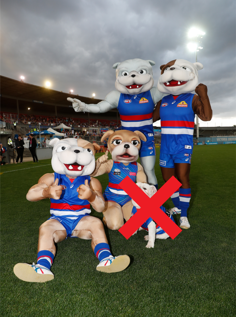 Western Bulldogs mascot Caesar is seen during the 2021 AFLW Round 02 match between the Western Bulldogs and the Carlton Blues at VU Whitten Oval