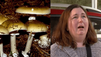 A Source Close To The Ex-Husband At Centre Of Mushroom Poisoning Investigation Has Spoken Out