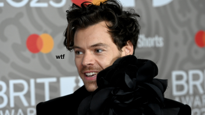 Harry Styles, Bless Him, Accidentally Reignited A Years-Old Feud Between Two Sydney Zoos