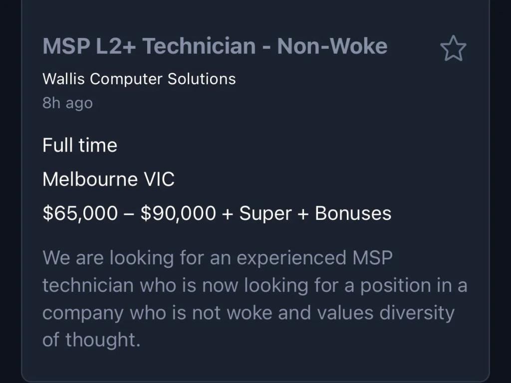 non-woke employee ad by IT business Wallis Computer Solutions